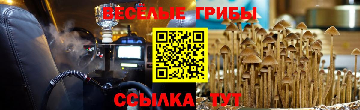 Лабытнанги  Псилоцибиновые грибы Psilocybe  Вход с VPN 
